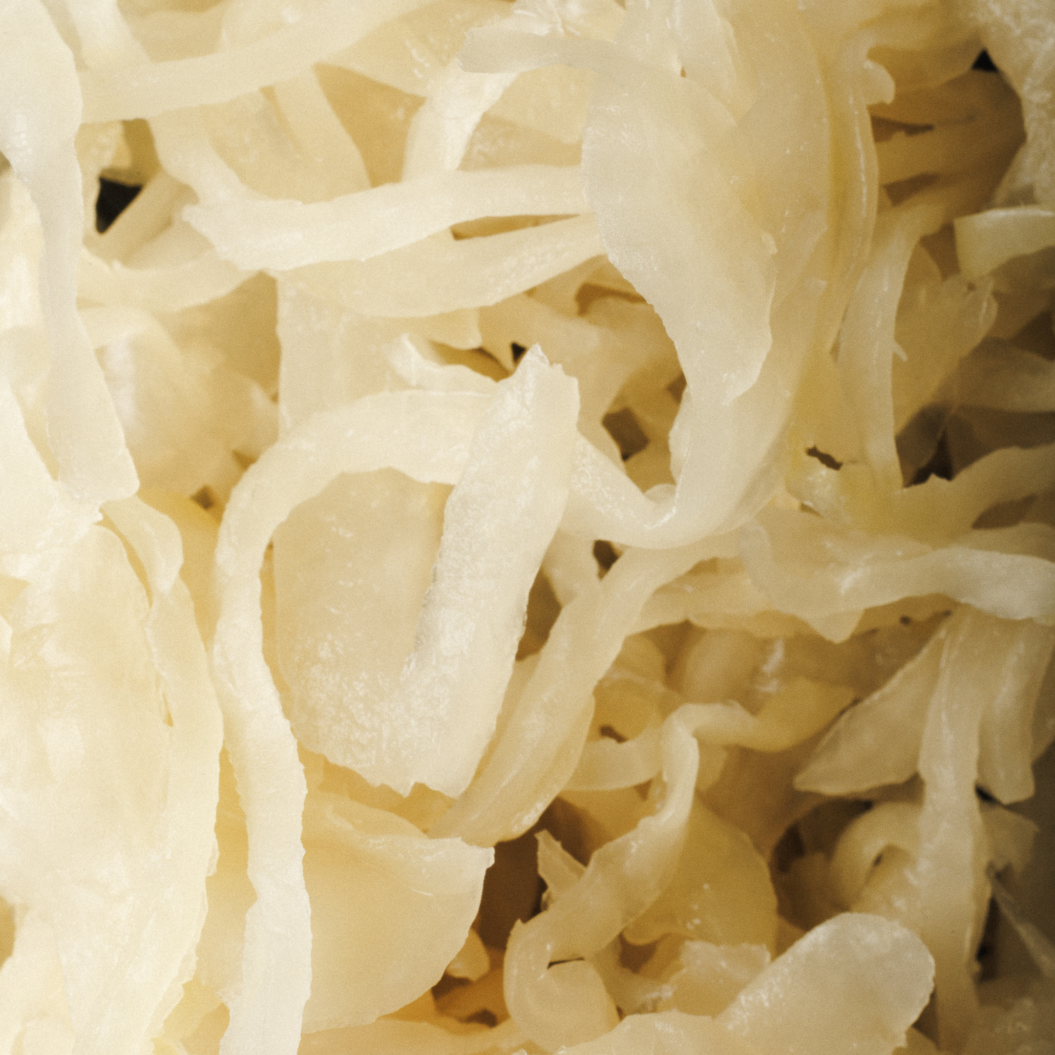 Sauerkraut Clássico 1